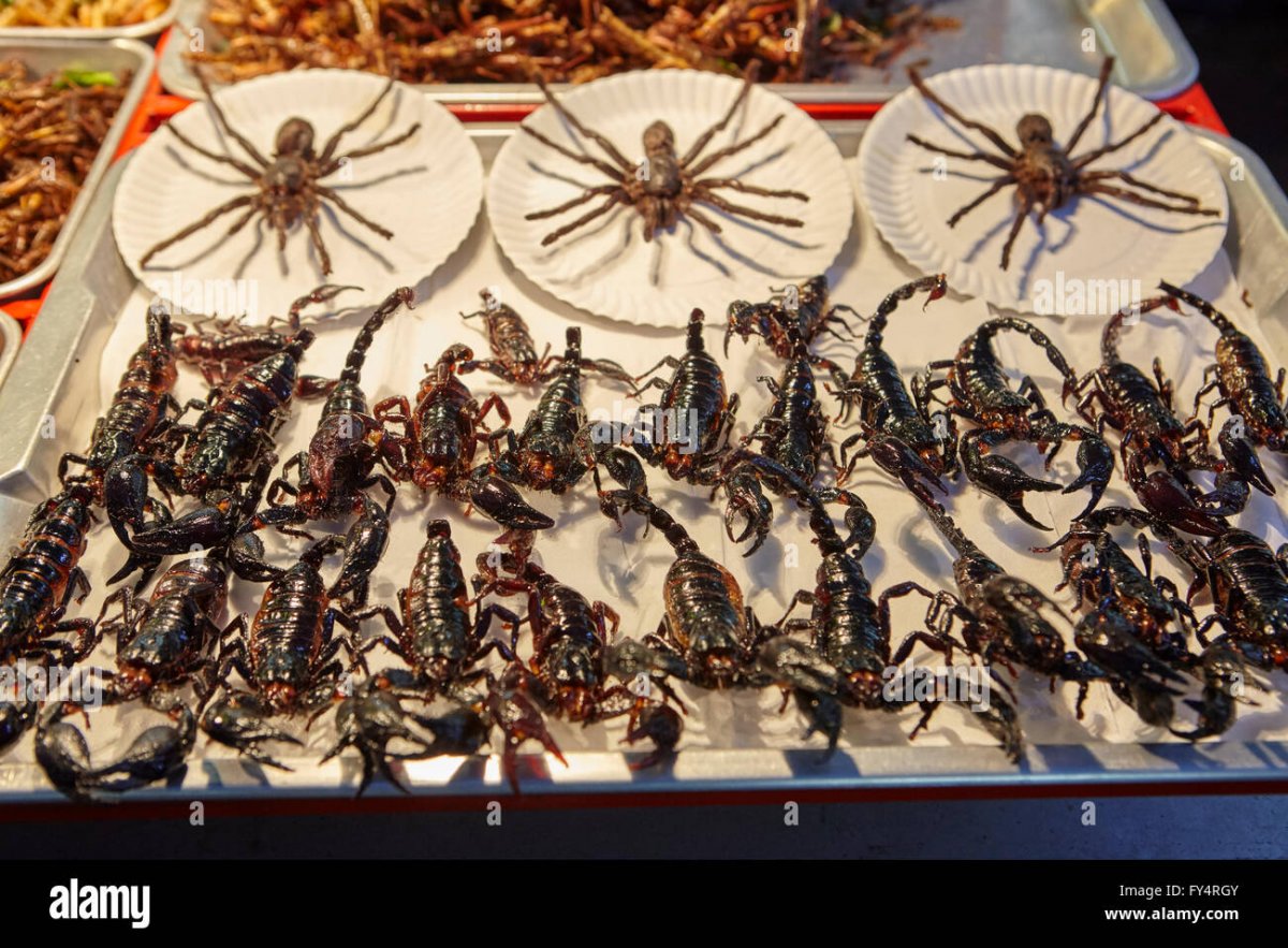 Жареные насекомые