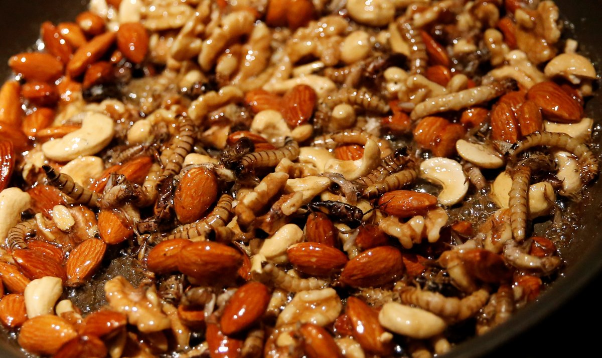 Китайские блюда из насекомых