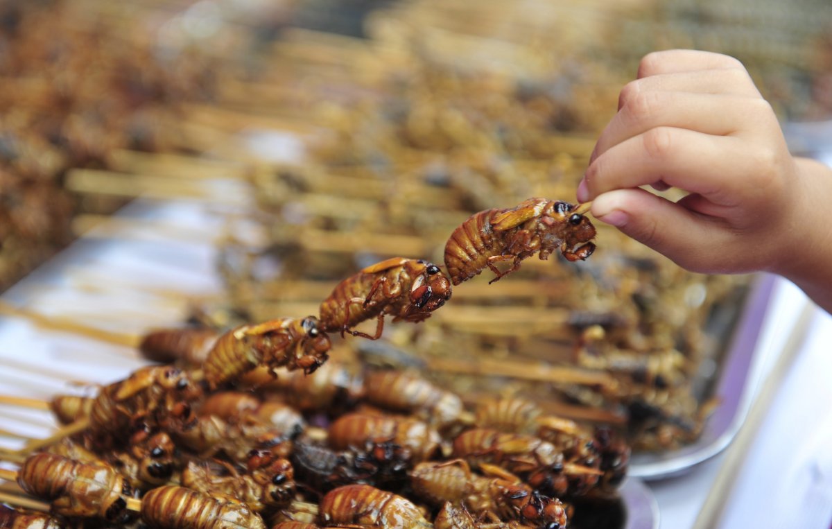 Китай еда насекомые
