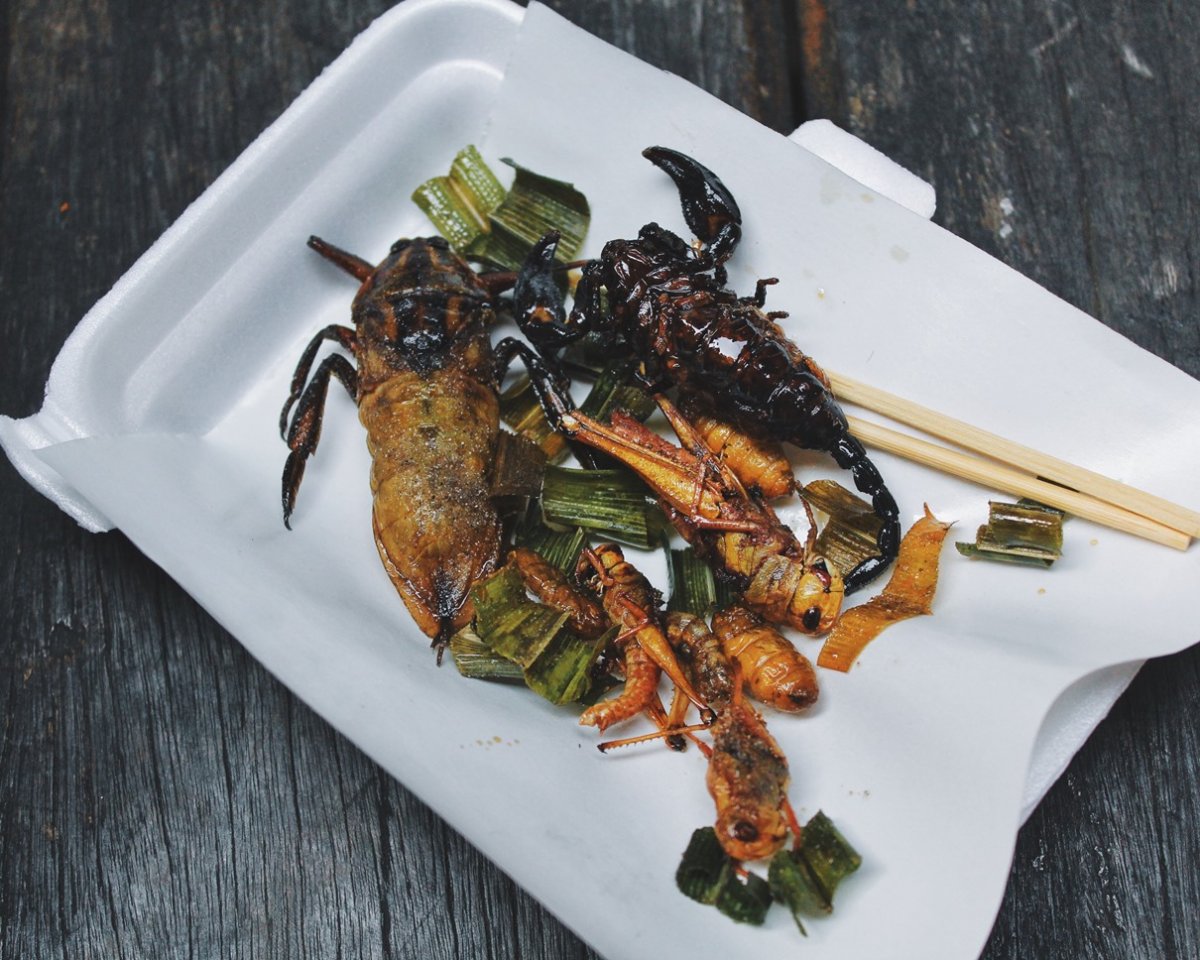 Каких насекомых едят в Китае