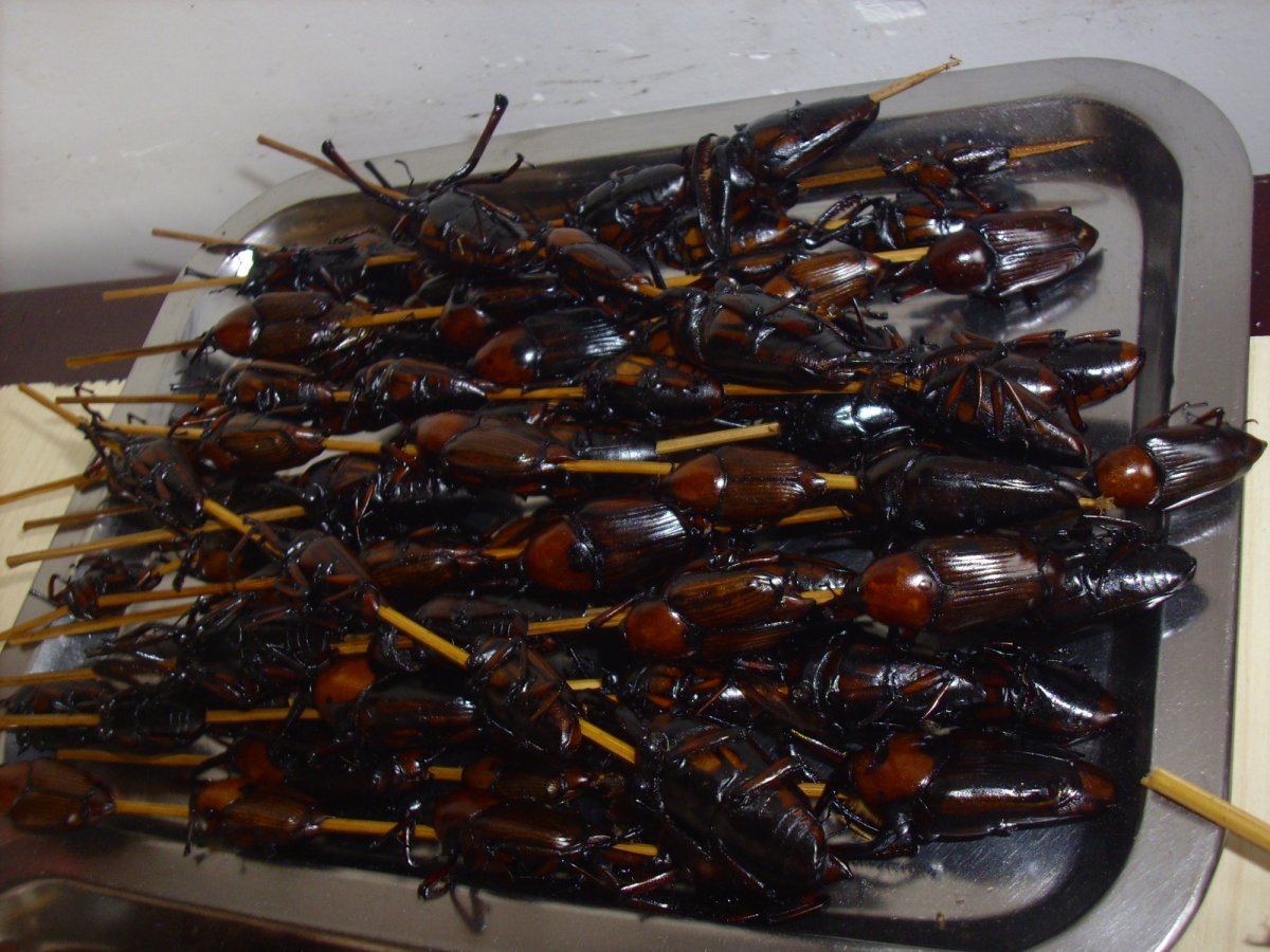 Китай еда насекомые