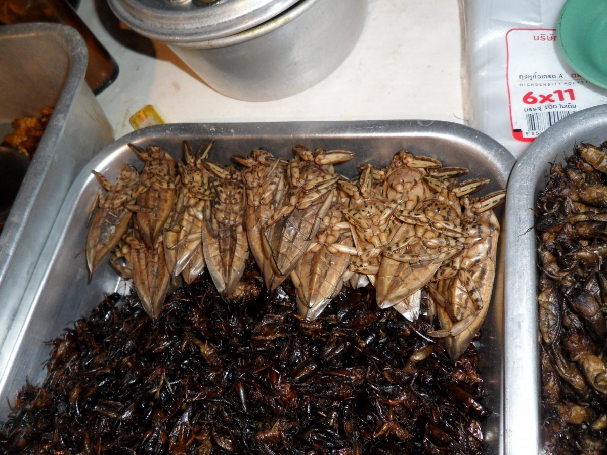 Приготовленные насекомые