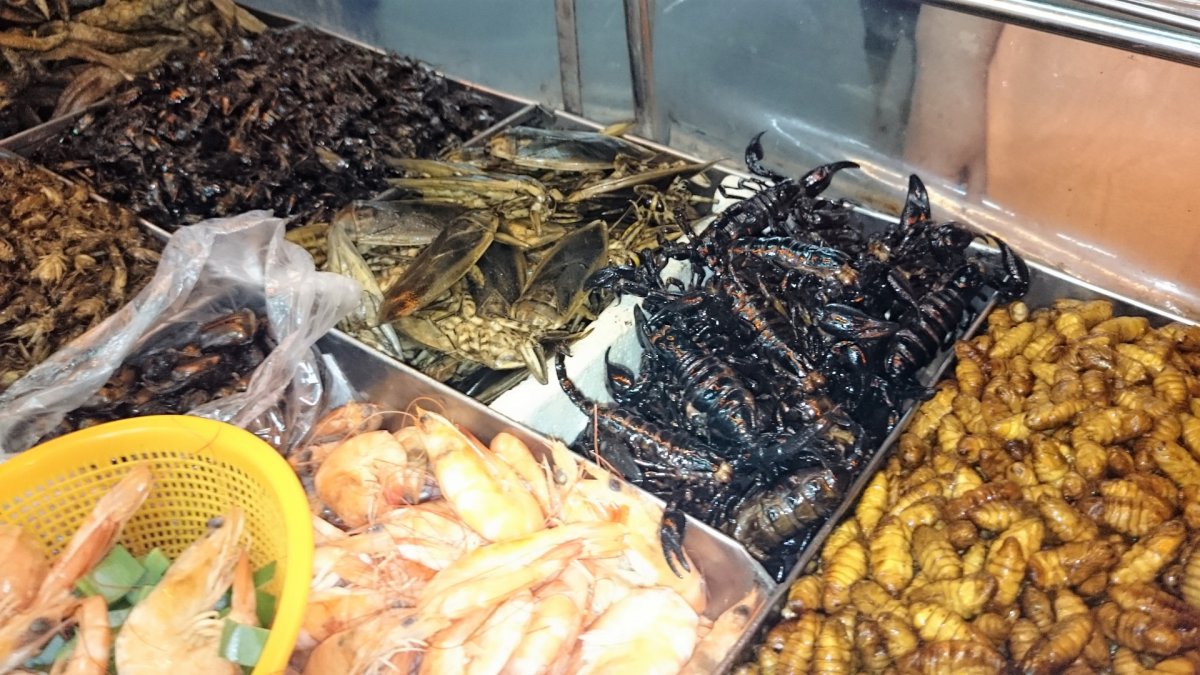 Тайский таракан