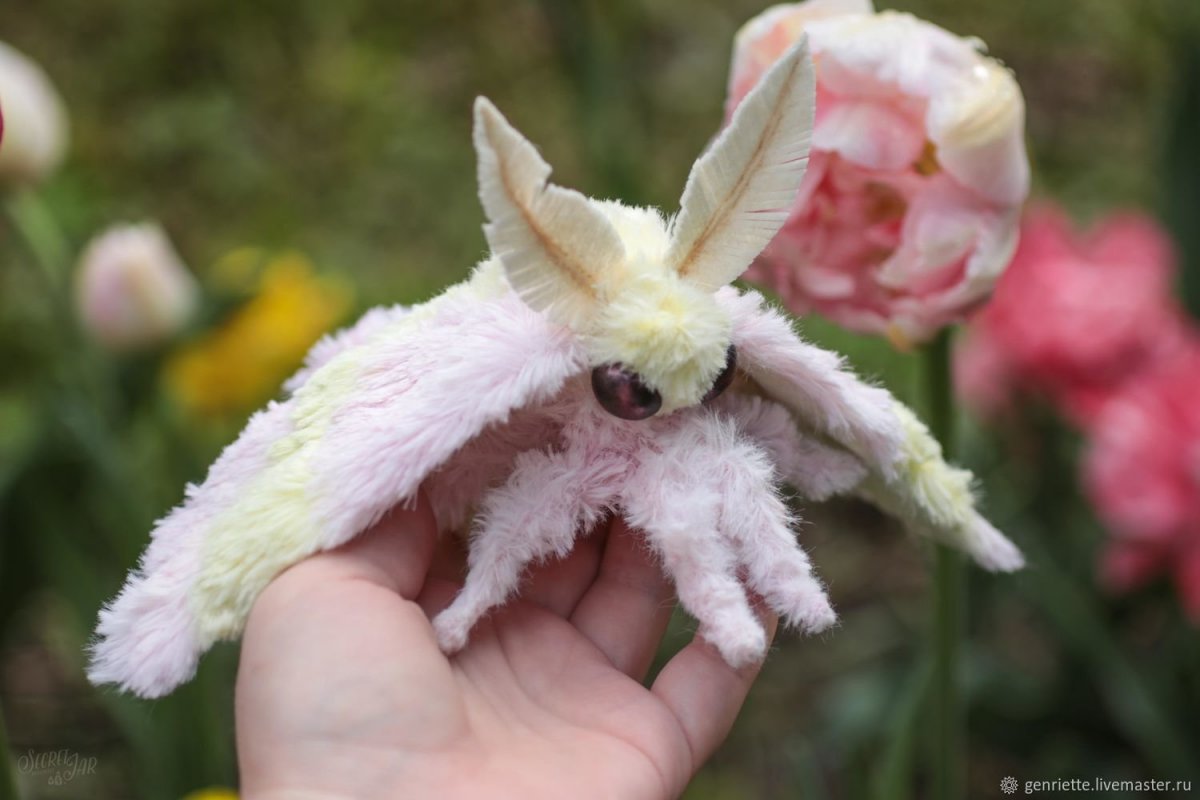 Сатурния Полифема