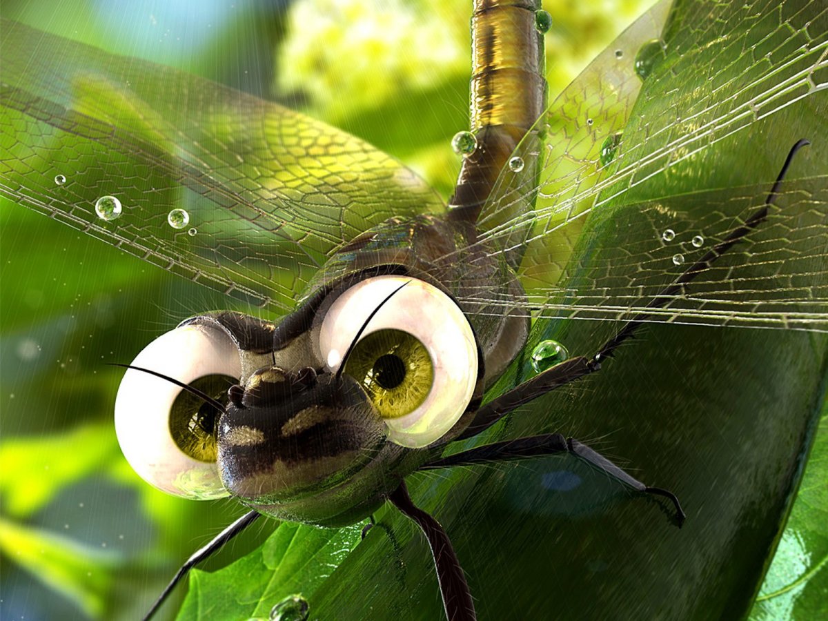 Букашки Стрекоза