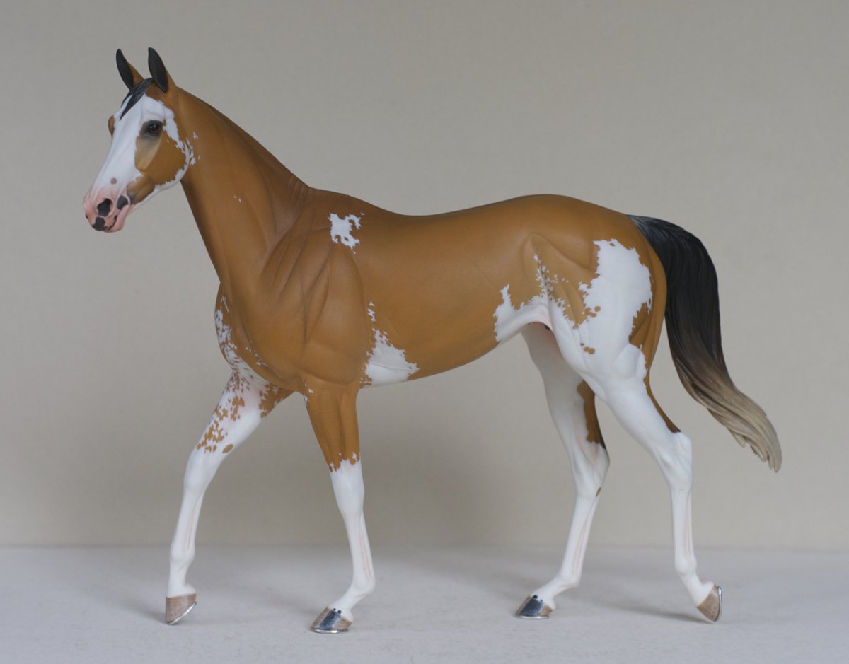 Horses model