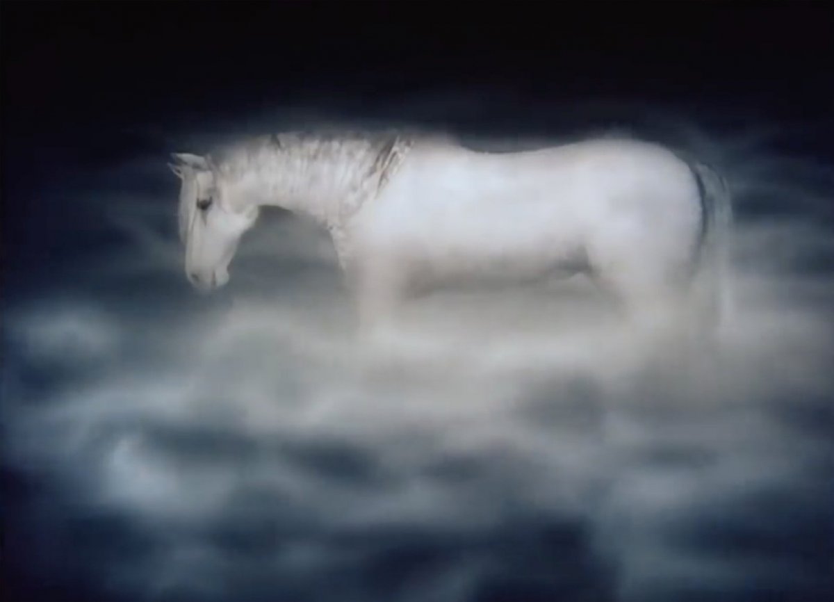 Лошадь туман Норштейн