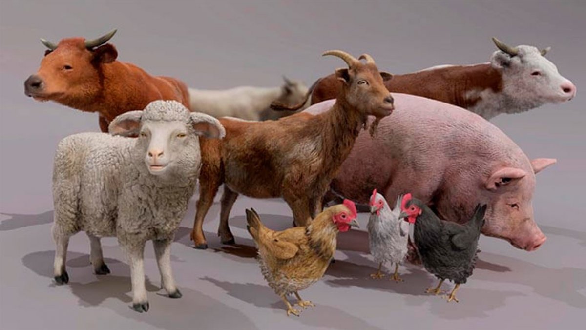 Веселые сельскохозяйственные животные