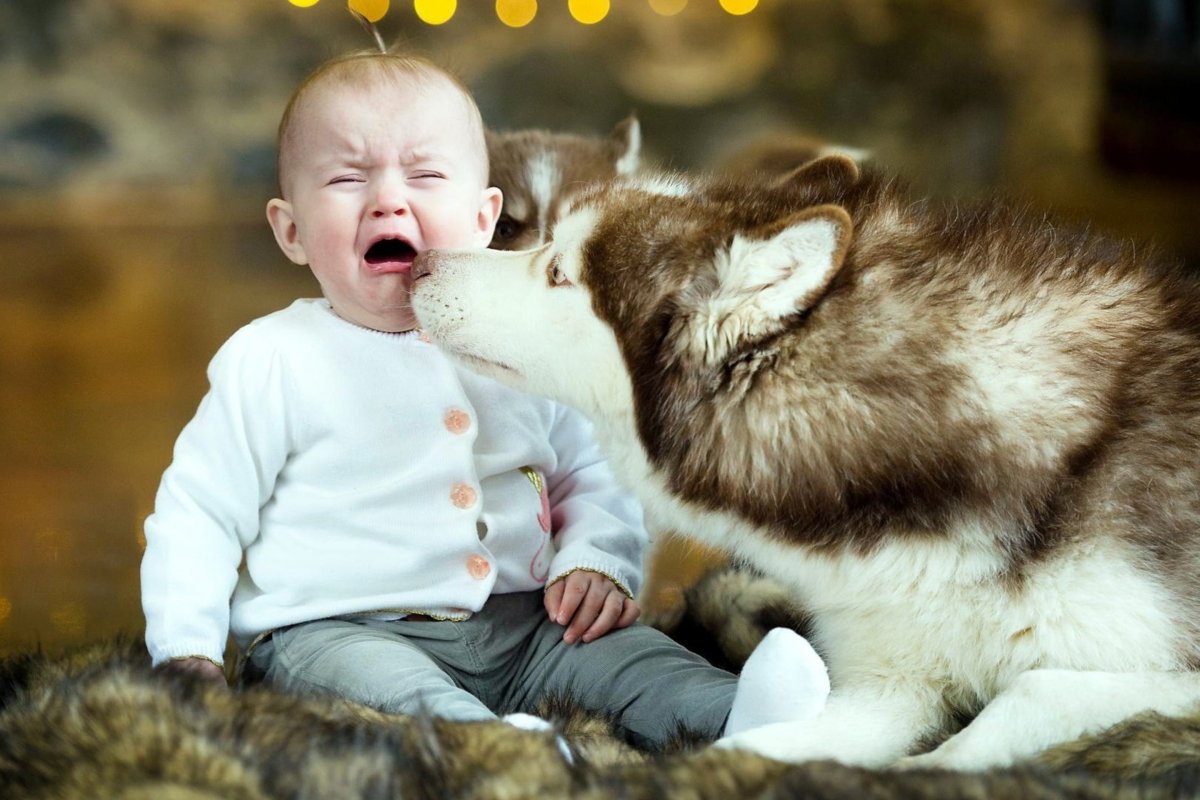 Смешные животные и дети