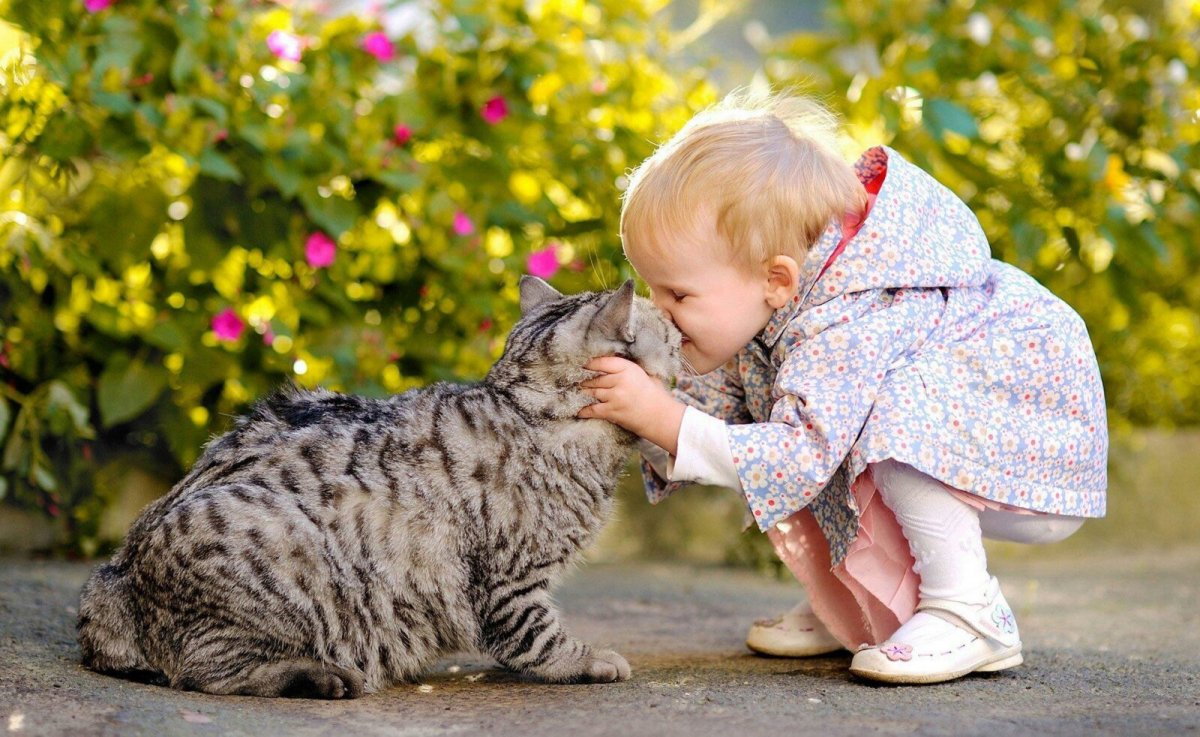 Кошка для детей