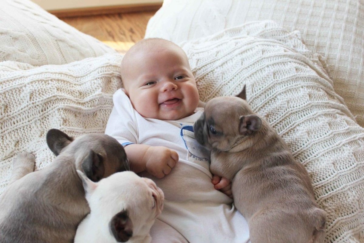 Маленькие дети и животные