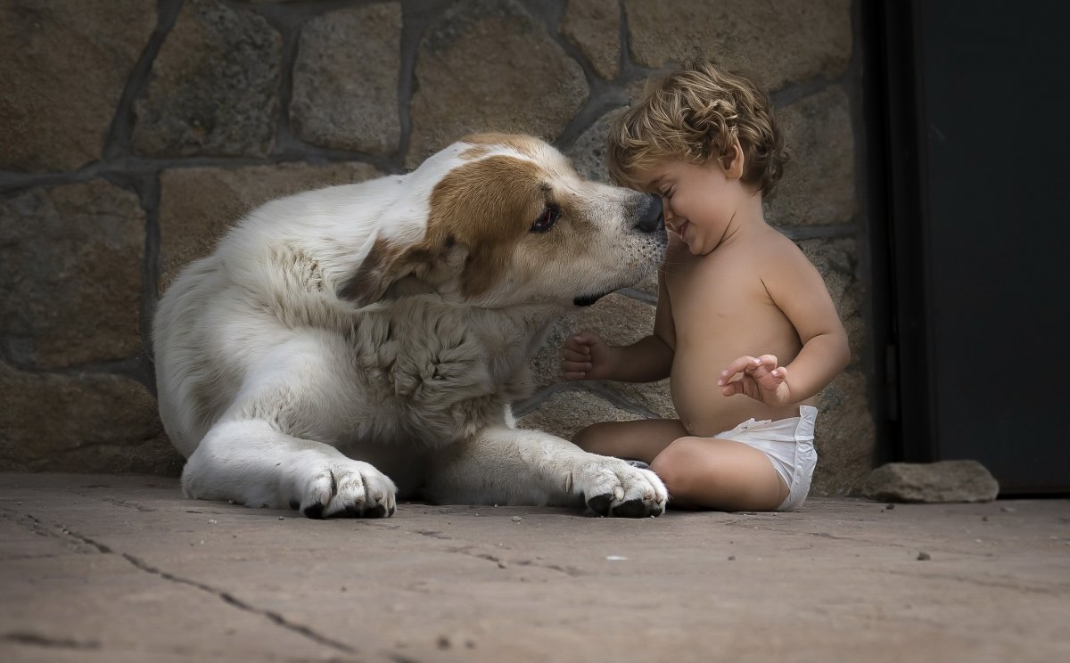 Смешные животные и дети