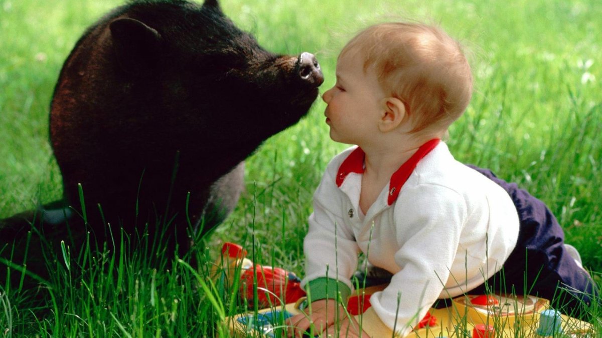 Веселые дети и животные