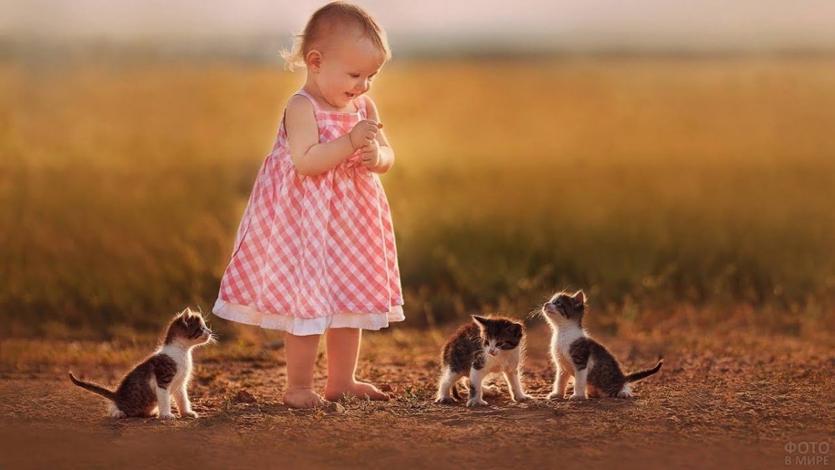 Милые животные для детей