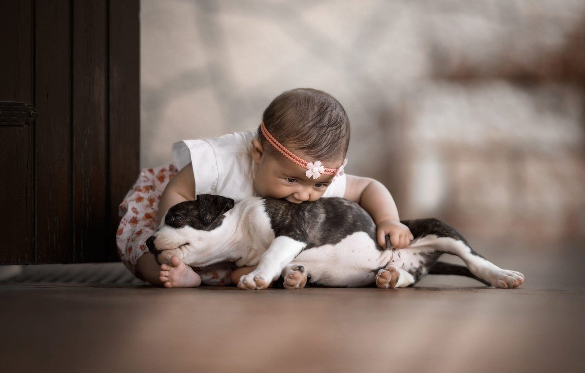 Щенок для детей