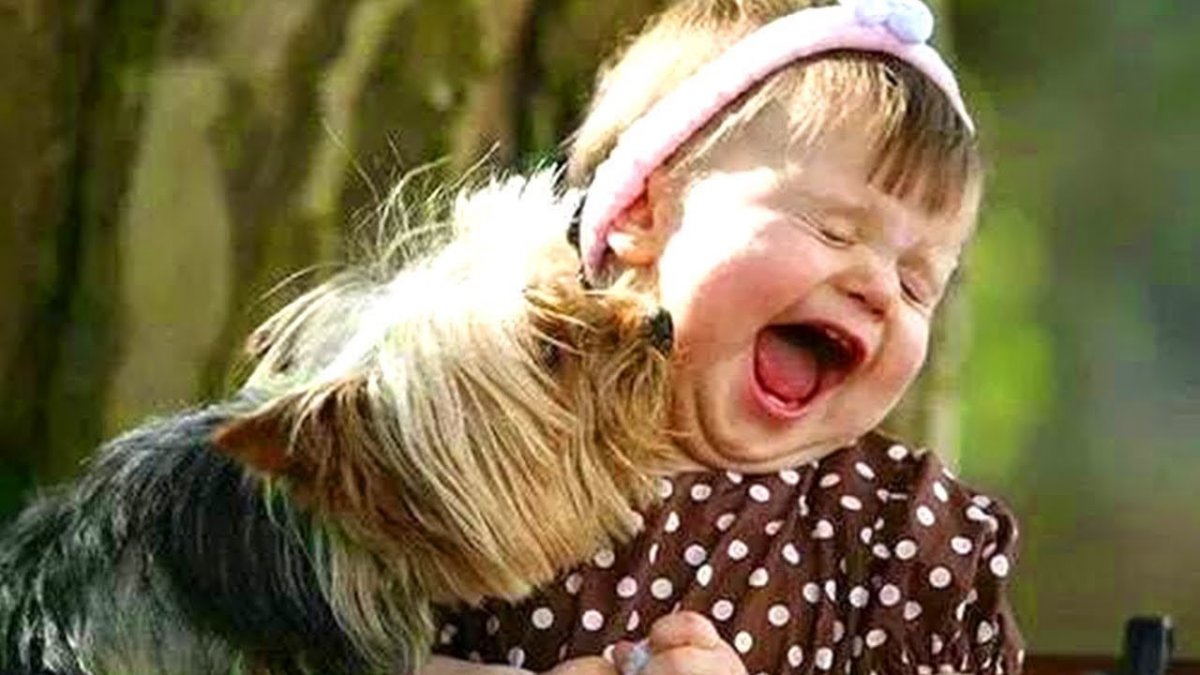 Животные и дети смеются