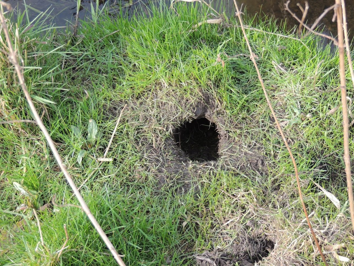 Заячья Нора