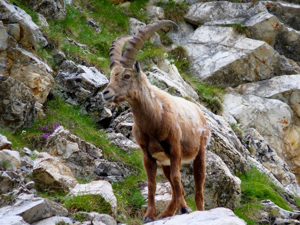 Национальный парк Вануаз Франция