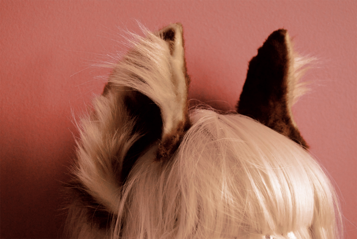 Волчий хвостик фурсьют