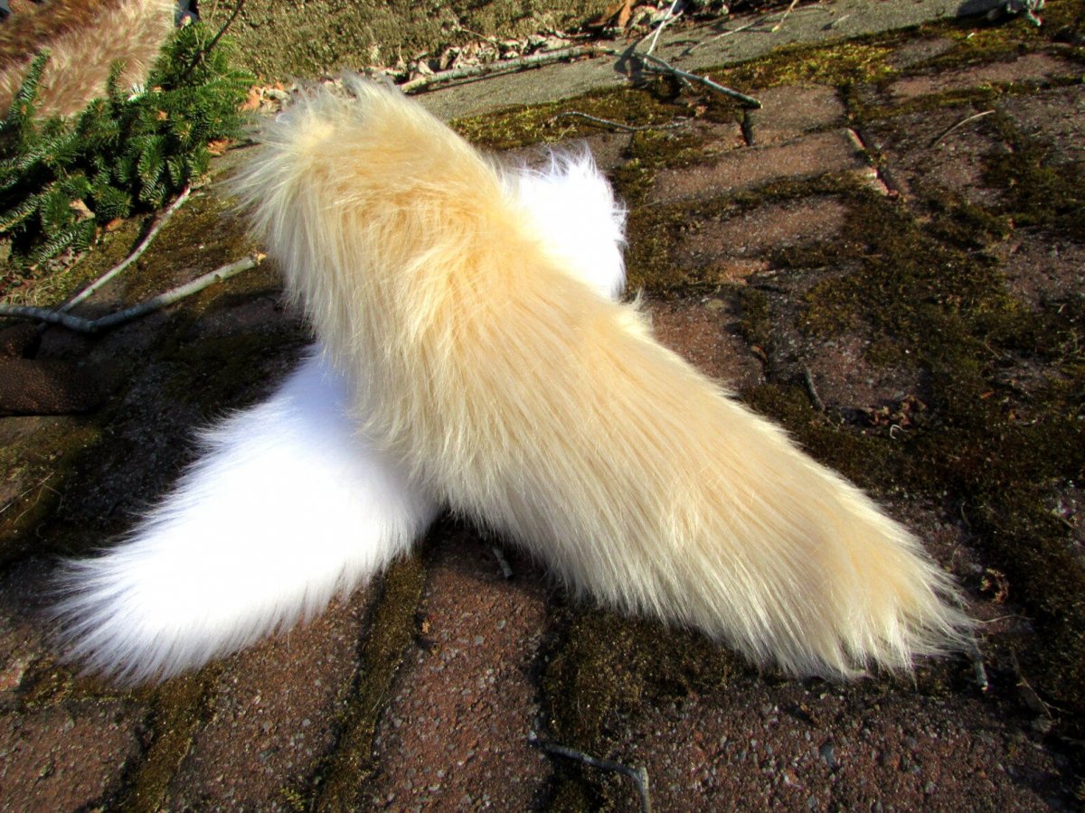 Серебристо серая лиса