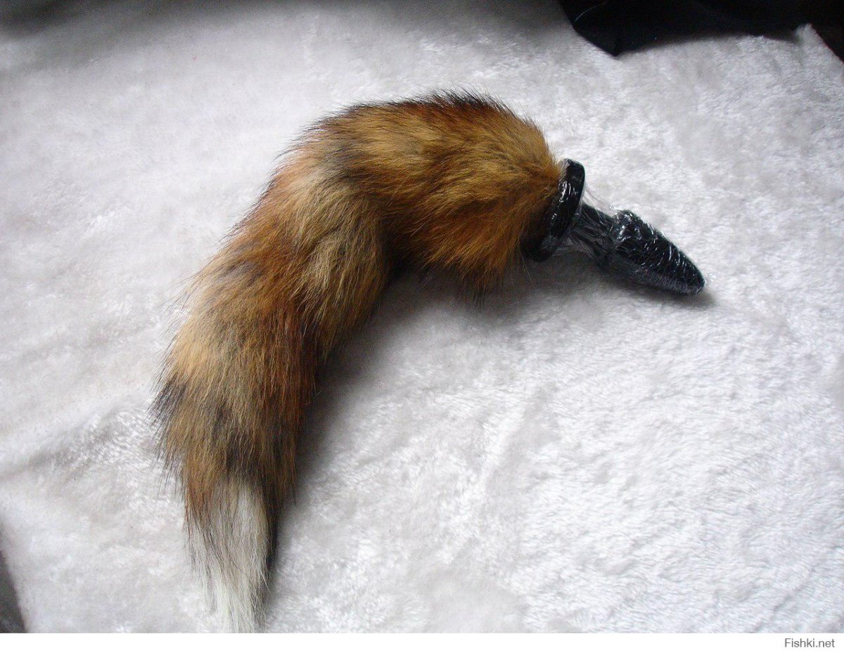 Хвосты животных референс