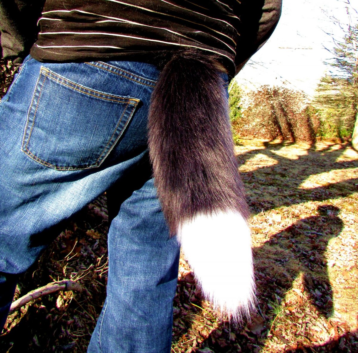 Волчий хвост