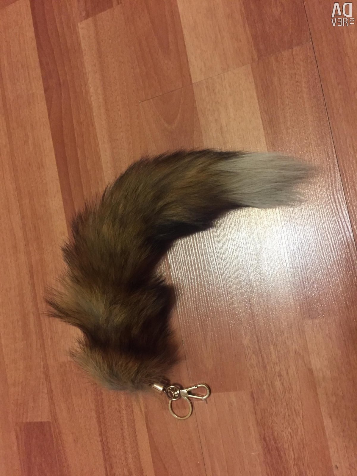 Собака с пушистым хвостом