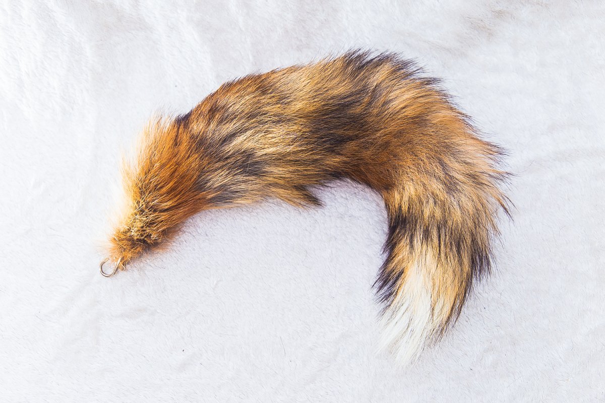 Хвост волка