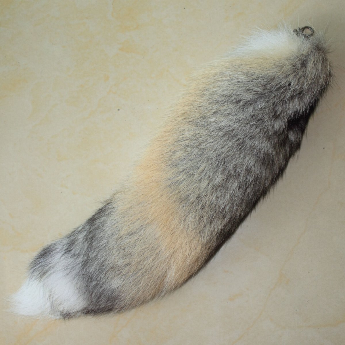 Хвост собаки