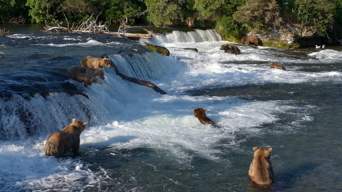 Нац парк Катмай
