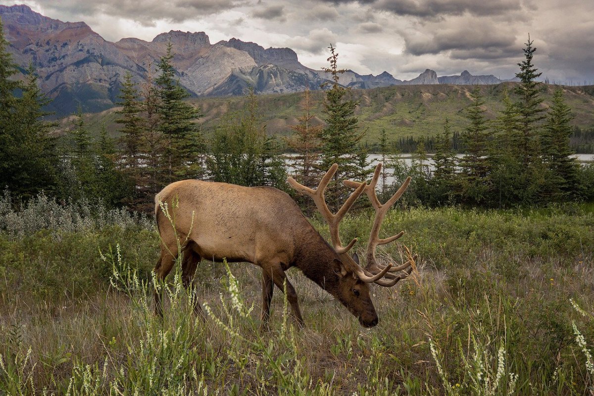 Штат Аляска