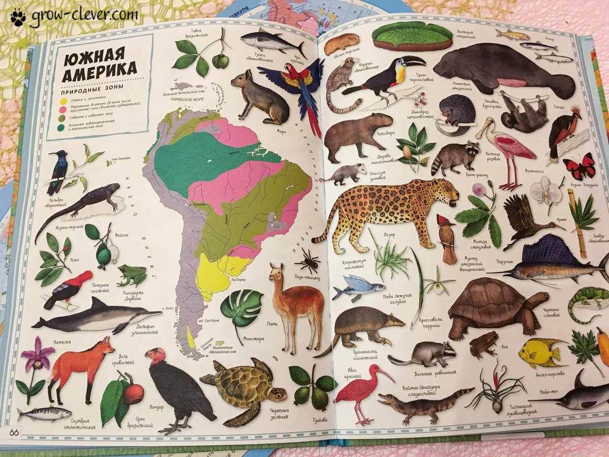 Детский атлас животных