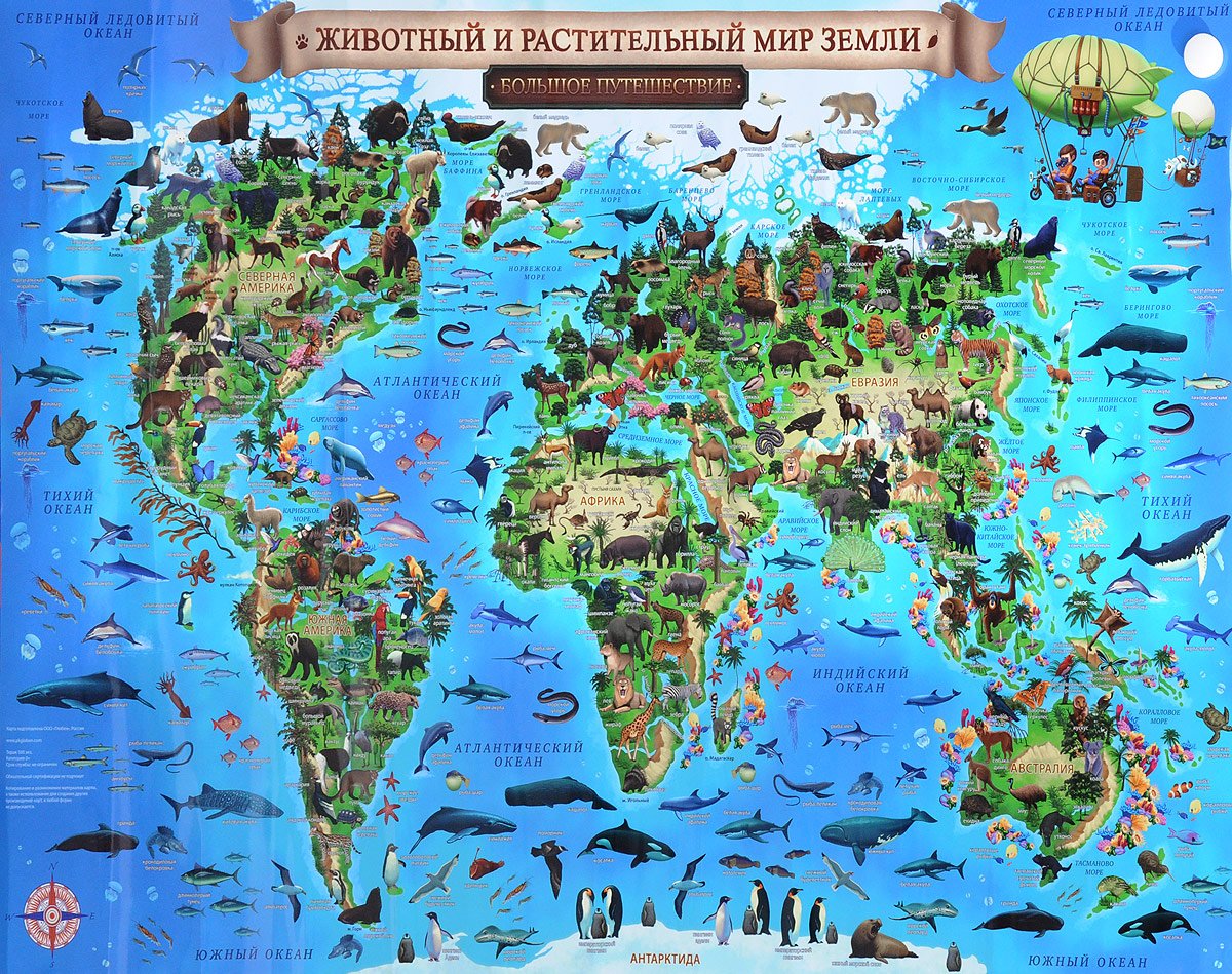 Карта растительного и животного мира