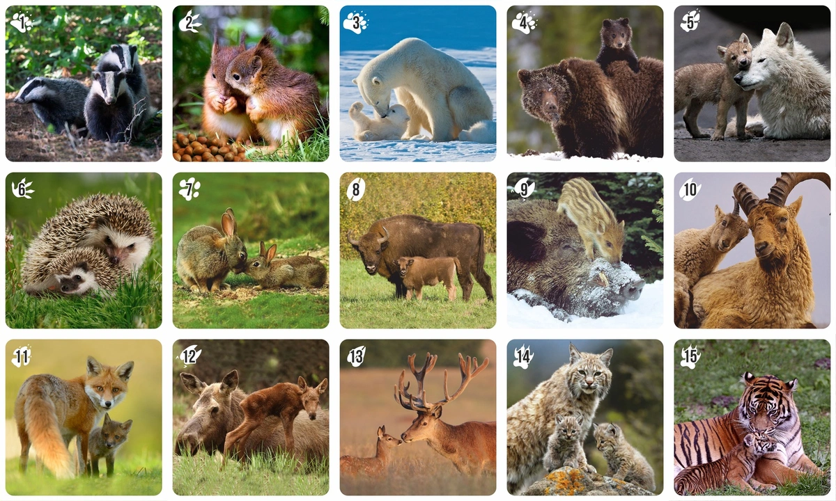 Пазл Ravensburger карта мира с животными