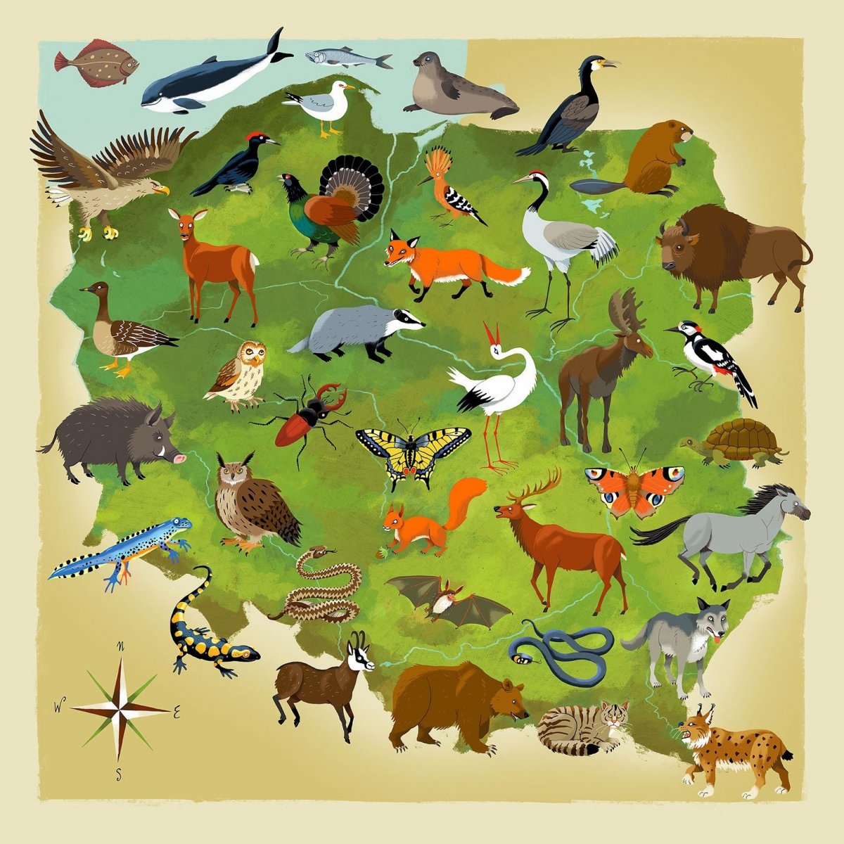 Животные Европы для детей