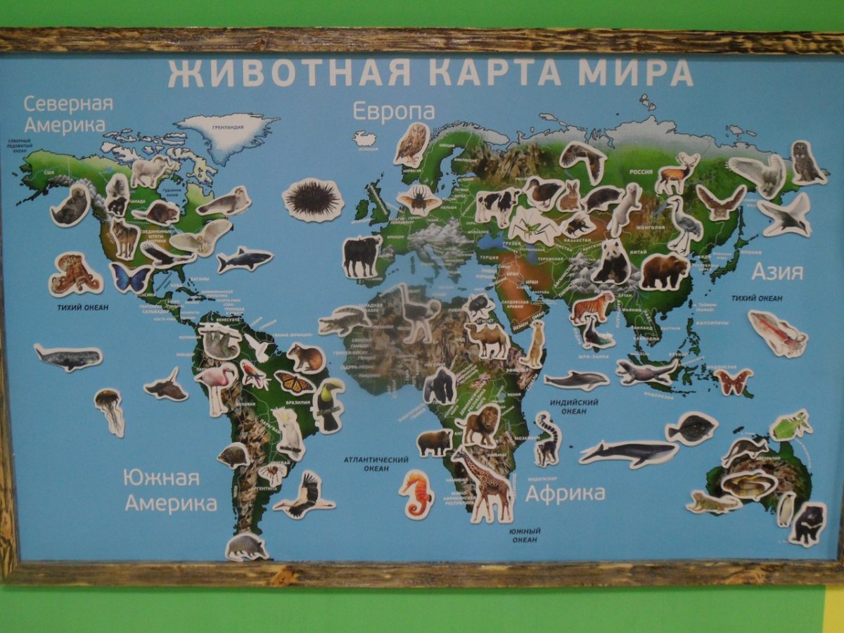 География животные