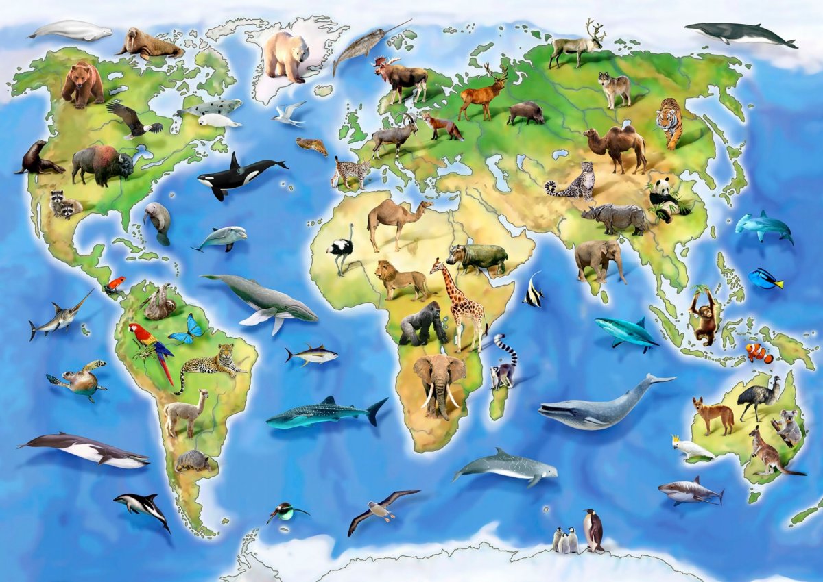 Животные континентов