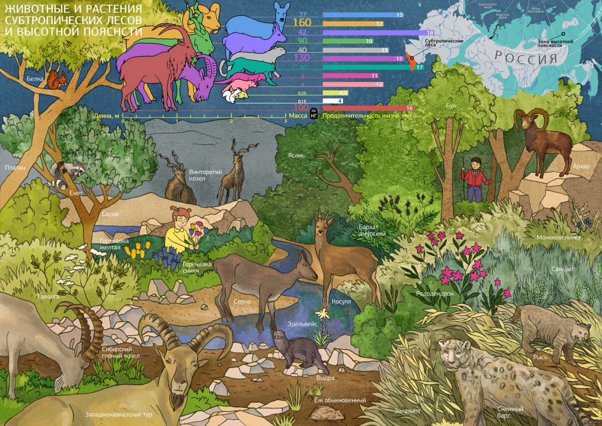 Кратна России для детей