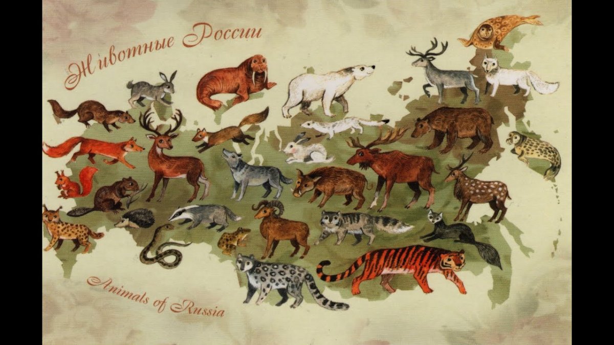 Животные России на карте