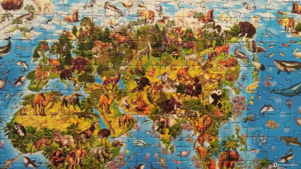 Карта мира для детей