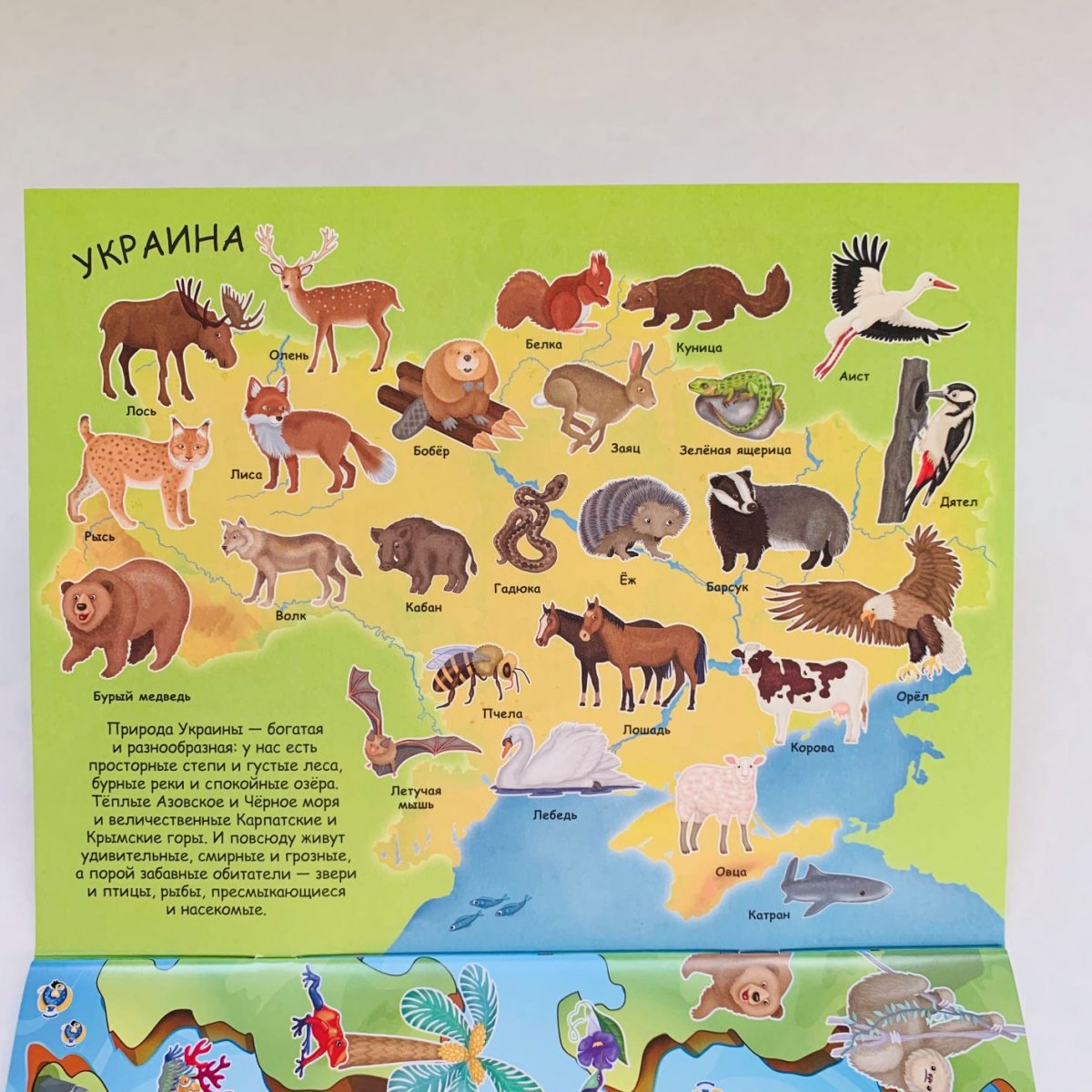 Энциклопедия атлас животных