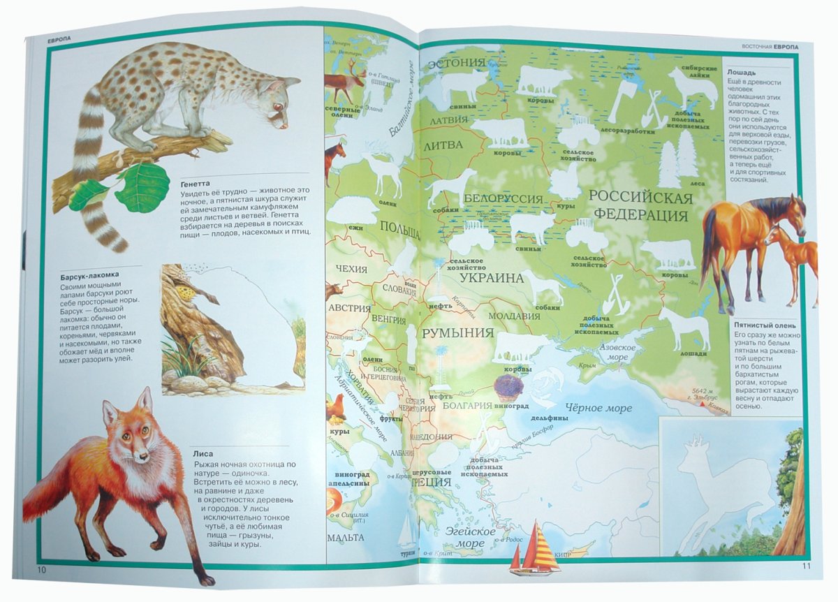 Атлас животных России