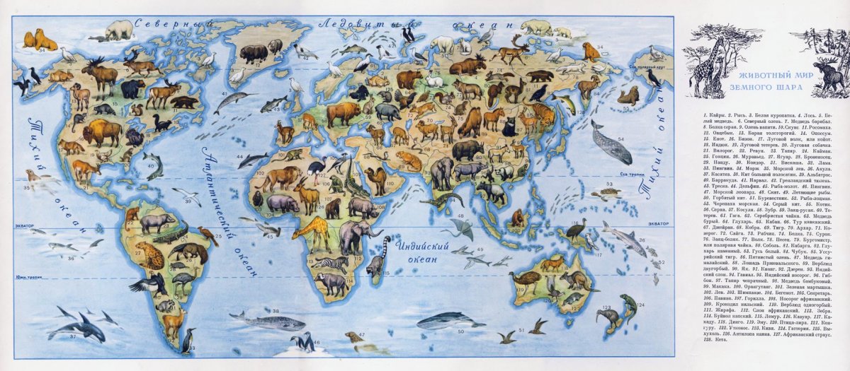 Карта мира для детей "животный и растительный мир земли" Globen Челябинск