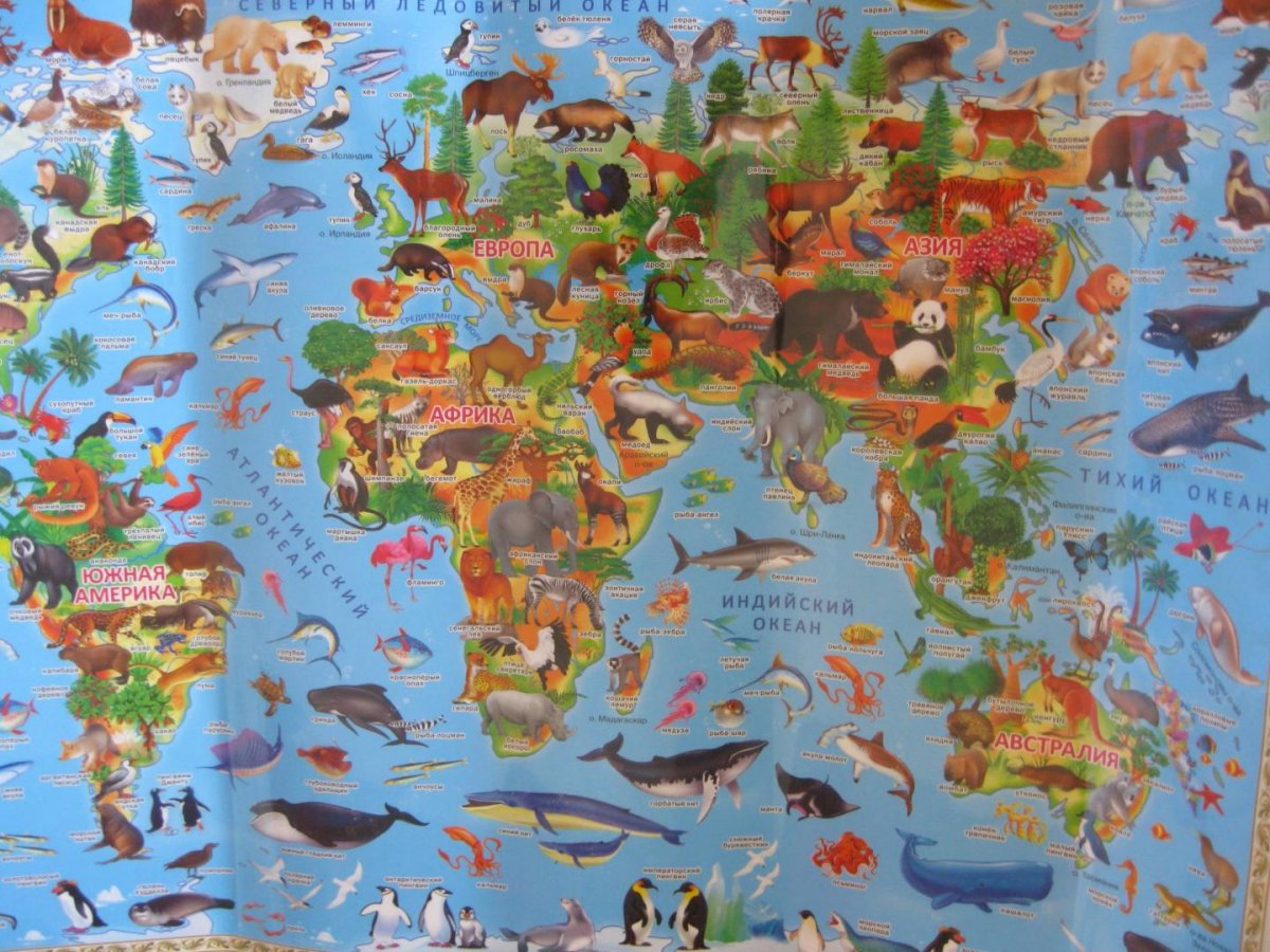 Растительный мир Евразии на карте