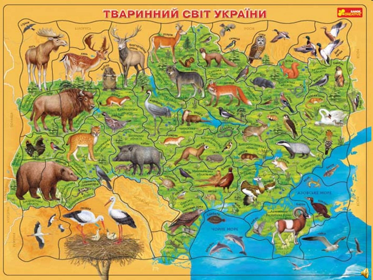 Карта Свердловской области с животными и растениями