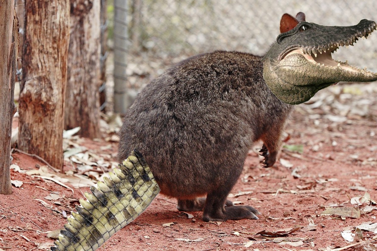 Австралия животные опасные