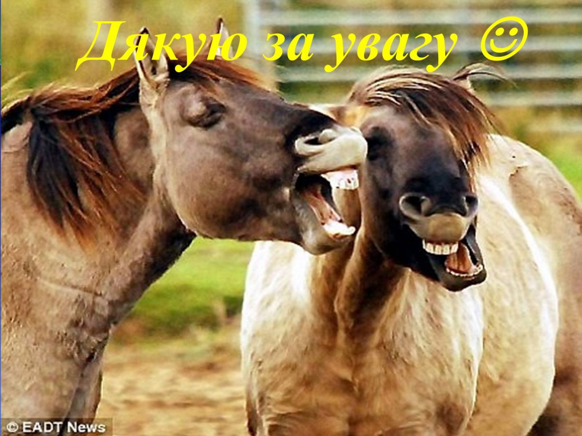 Лошади дерутся