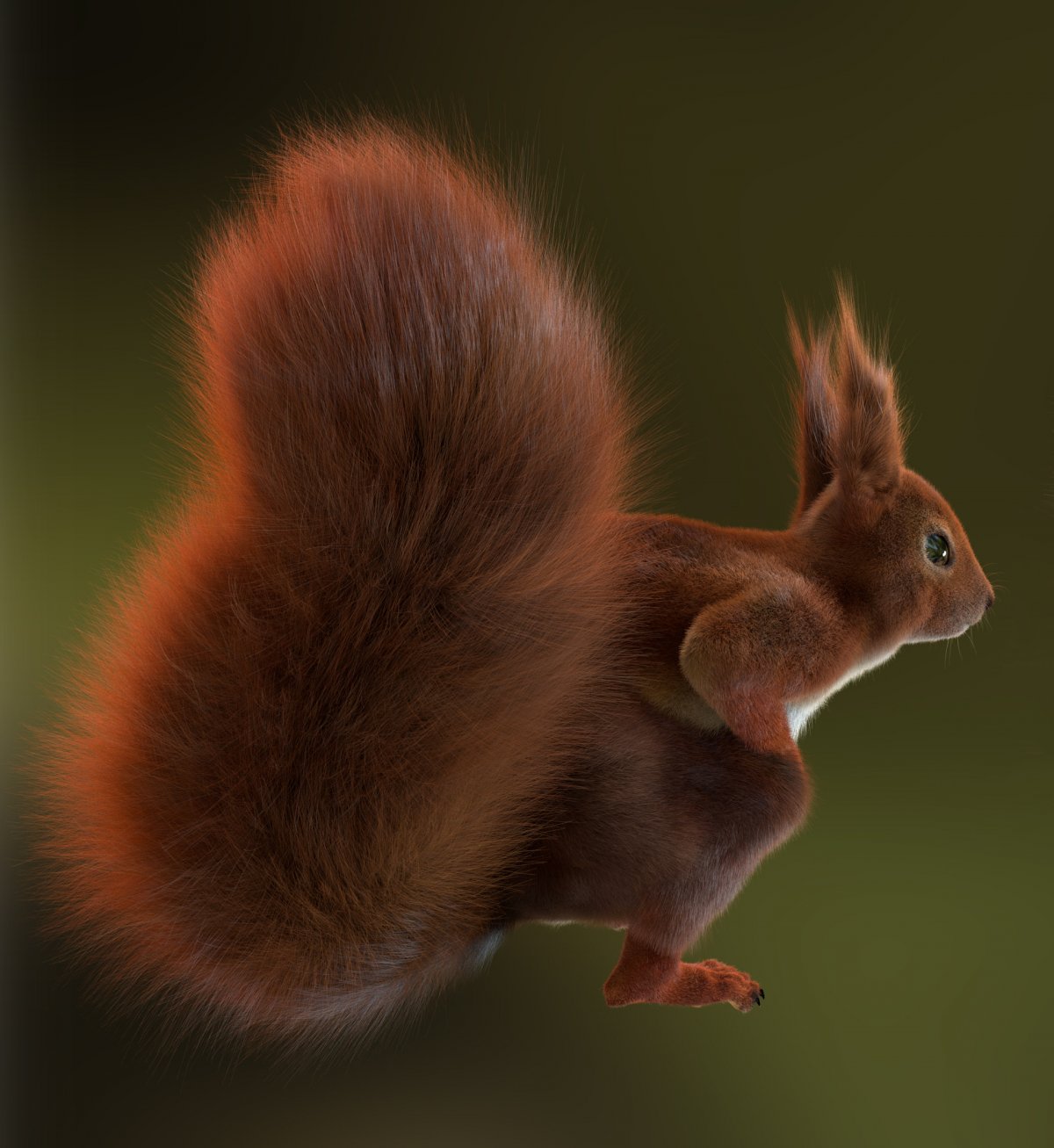 Пушистая белка