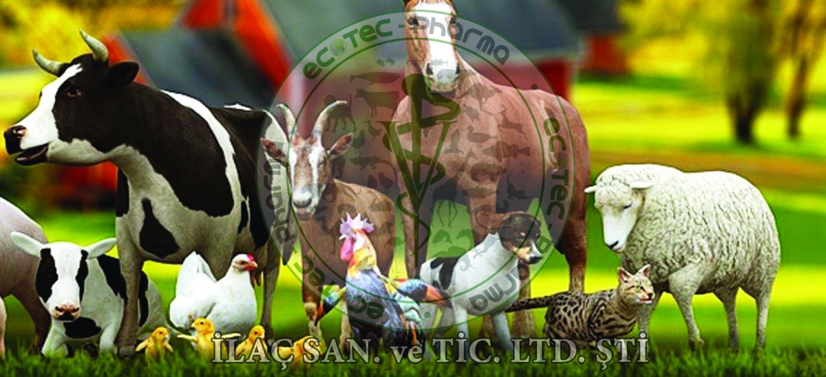 Сельскохозяйственные животные