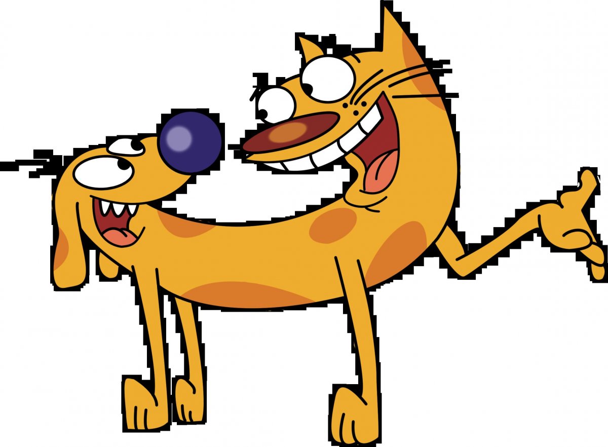 Дружба котов и собак